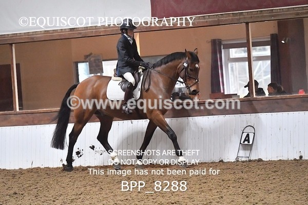 BPP_8288 - NOVICE 6 UNAFF