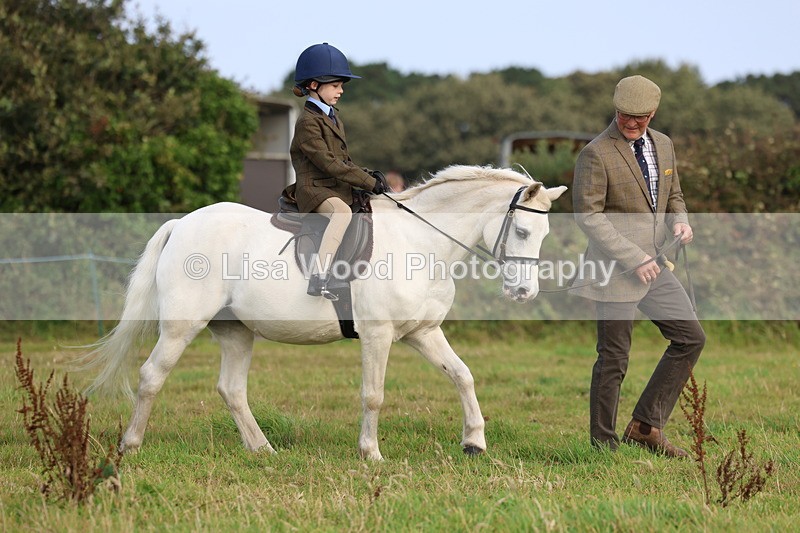 3E7A3489 - Class 2: Lead rein