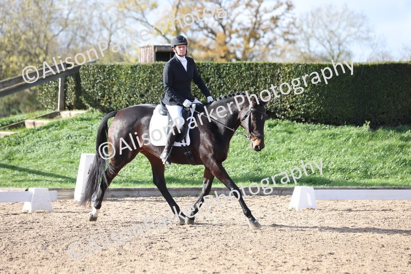 20251101-0650 - Class 5 - Novice 3