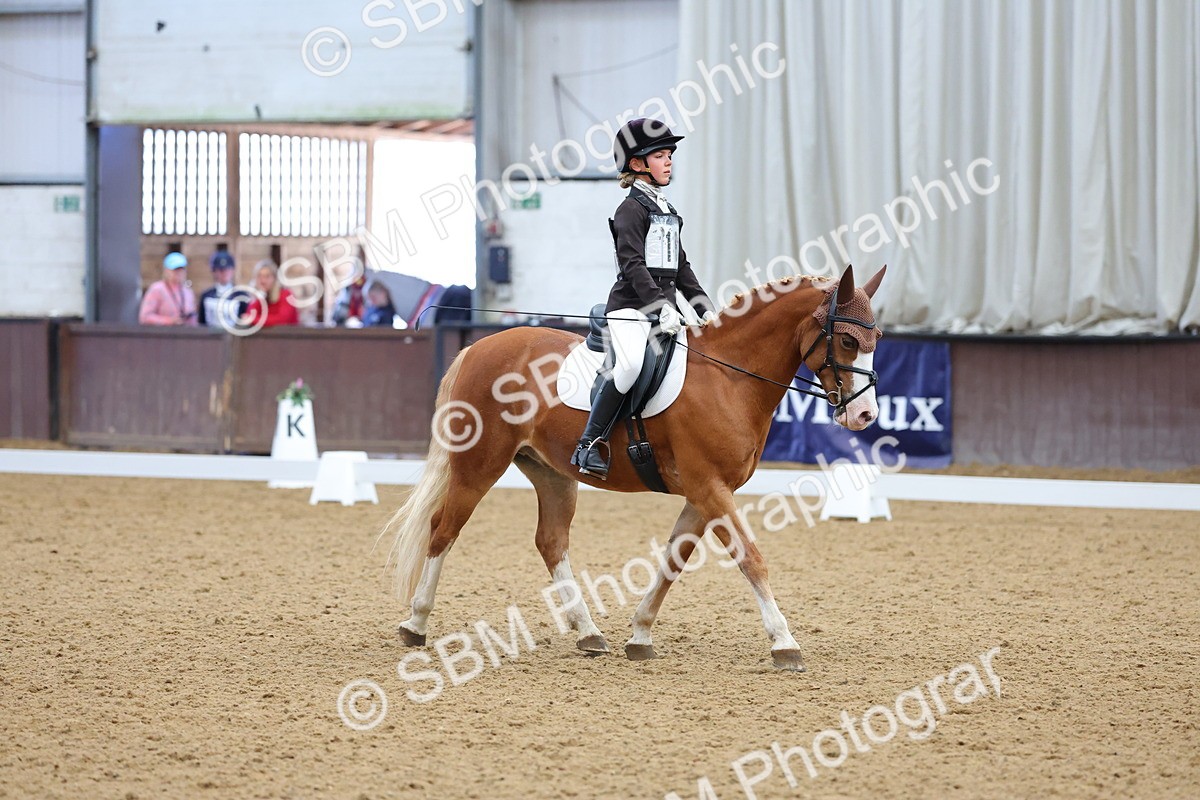 SBM_002972 - Novice
