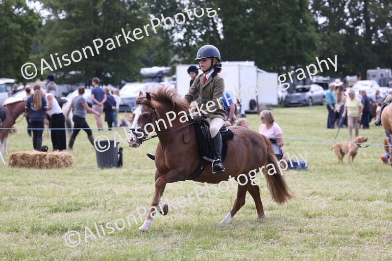 20260614-2094 - Class 21 - Novice Working Hunter Pony
