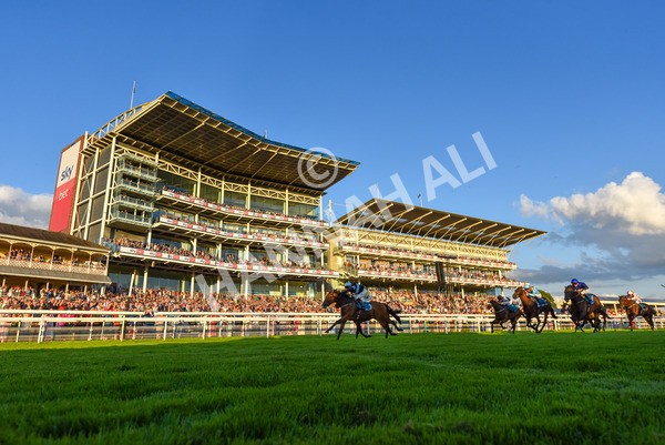 260724-Race 6-Duran-1161 - Race 6 8.20pm Sky Bet Go-Racing-In-Yorkshire Summer Festival Handicap
