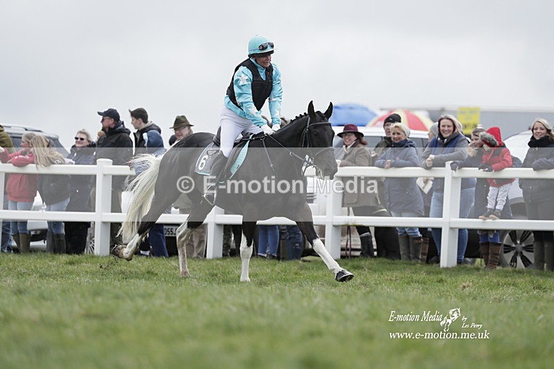 PtP 260323 0218 - New Forest Hounds Point-to-Point Larkhill 26/03/23