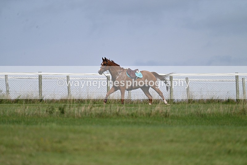 WJ7_7519 - Time 13:21 to 13:29