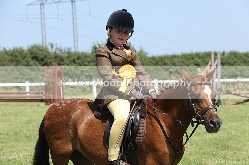 JPP_2382 - Class 20: Tiny Tots Working Hunter Pony