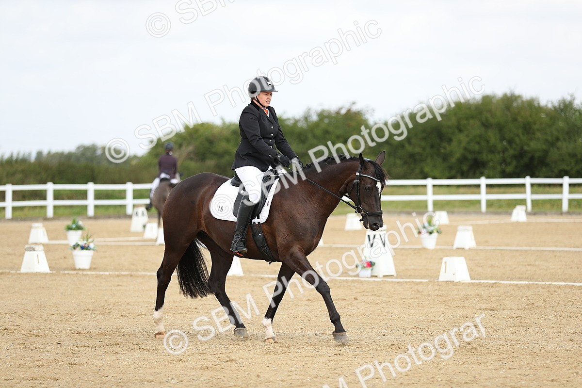 SBM_016288 - Class 13 - Novice 23 - 11.25-12.35