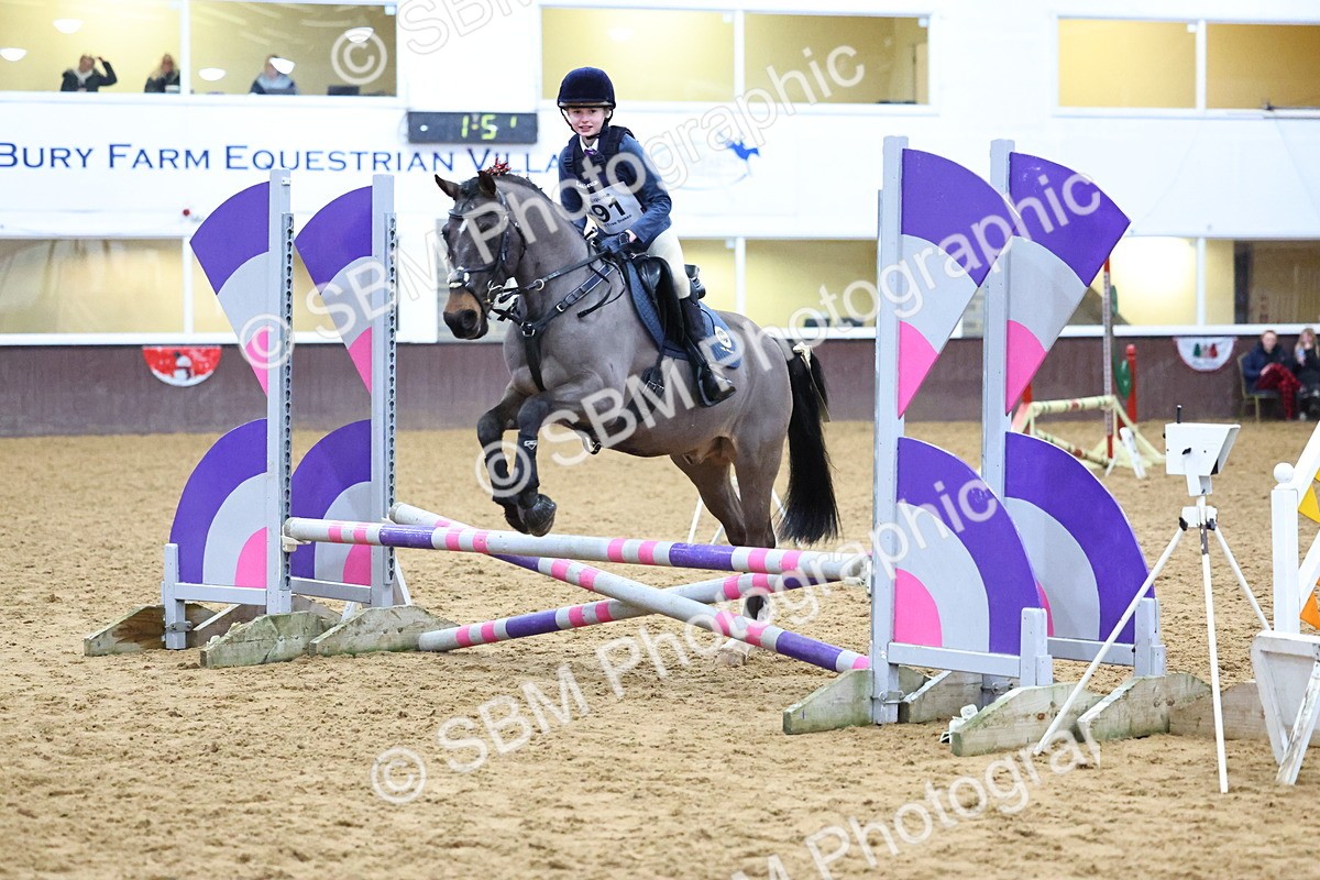 SBM_001272 - Class 3 - Christmas Tree Stakes - 60cm