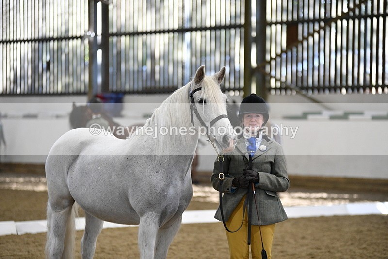 WJ5_4056 - Class 2 Best Condition In hand