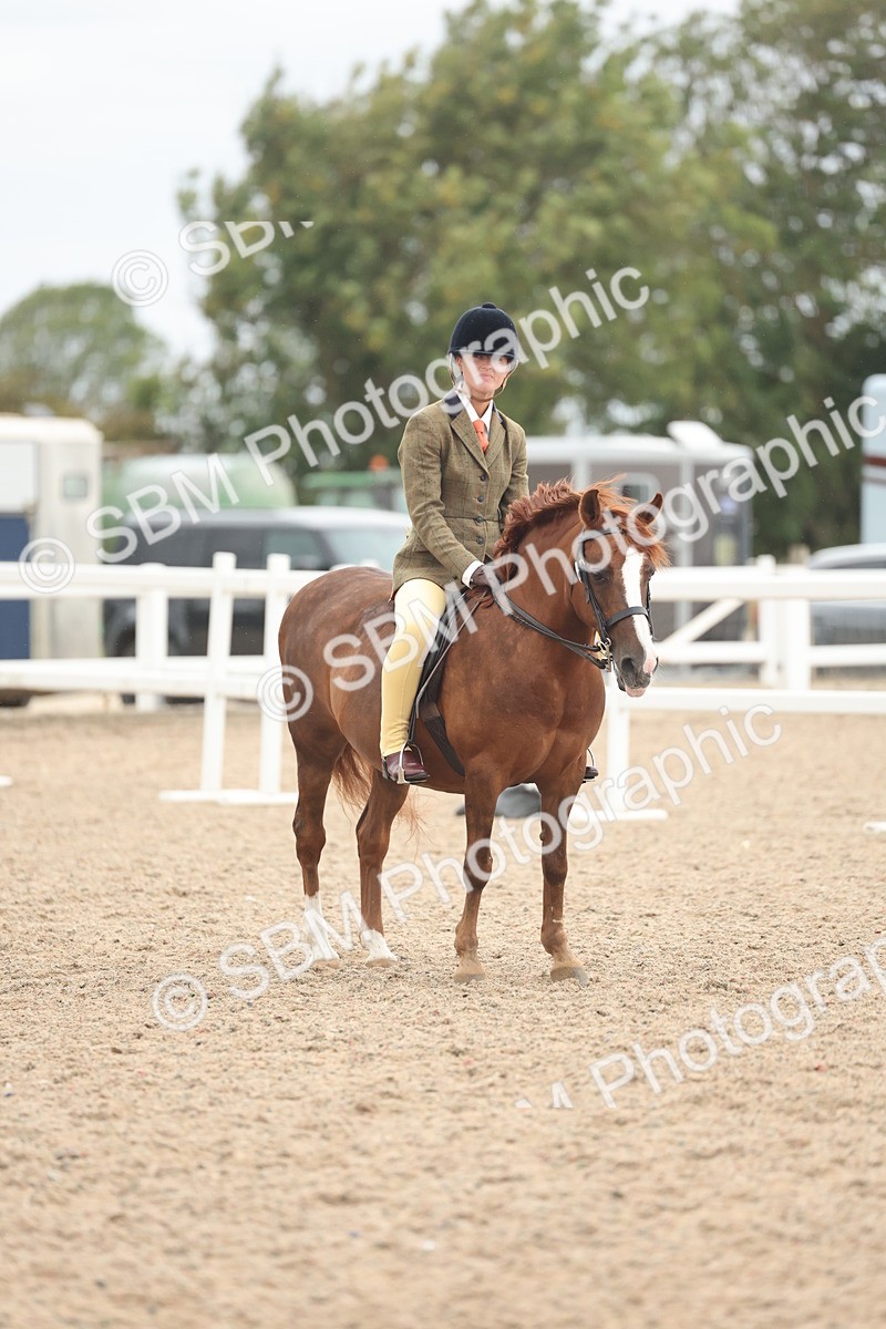 SBM_19180 - Class 316 - Best Pony-Rider Combination