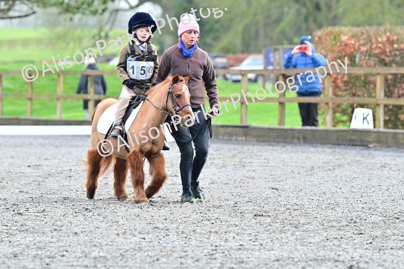 20260125-0936 - Class 9a - Walk Trot Assisted