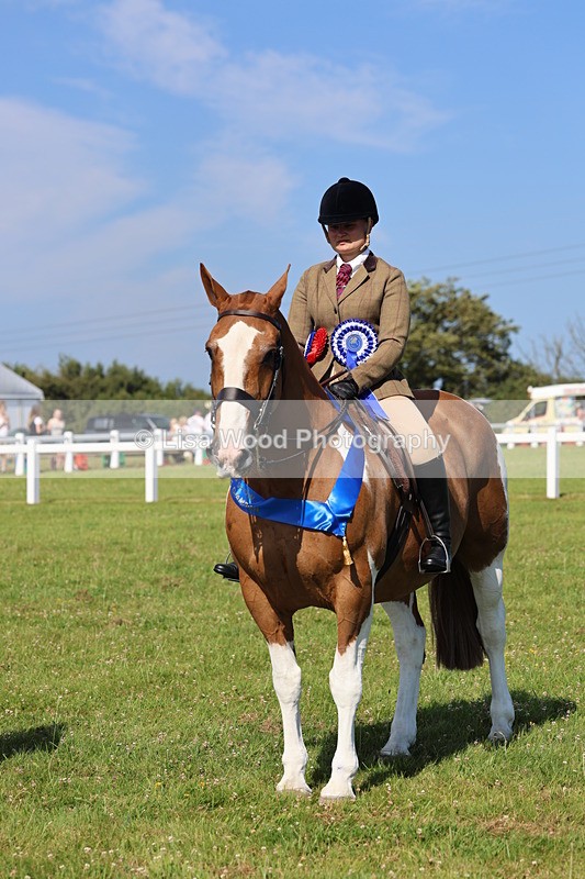 IMG_1681 - Skewbald and Piebald Ridden Championship