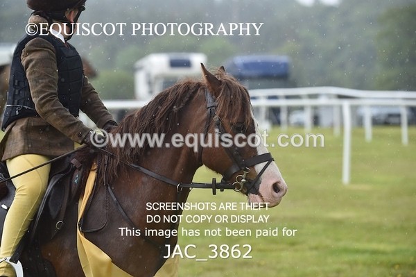 JAC_3862 - 65cm WORKING HUNTER