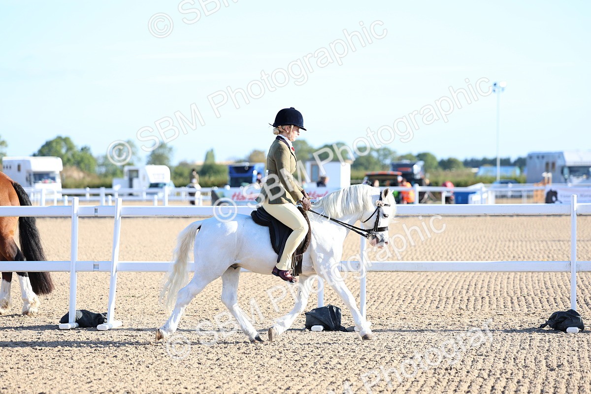SBM_07787 - Class 301 - Ridden M&M - Small Breeds