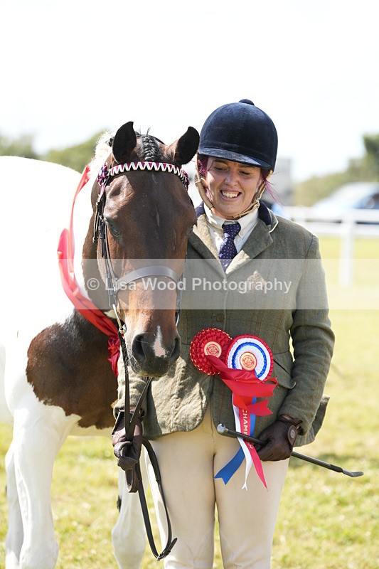 DSC07231 - Coloured Horse In Hand Championship