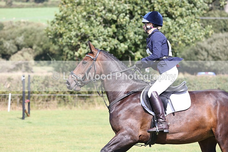 JPP_8703 - Class 2: Trekenning: 80cm Showjumping