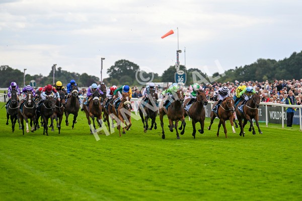 210824-Race 1-Jm Jungle-4484 - Race 1 1.50pm Symphony Group Handicap