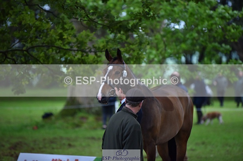 240522-164804-01167 - 222-KILCANNON_SENSATION-Harry_Meade