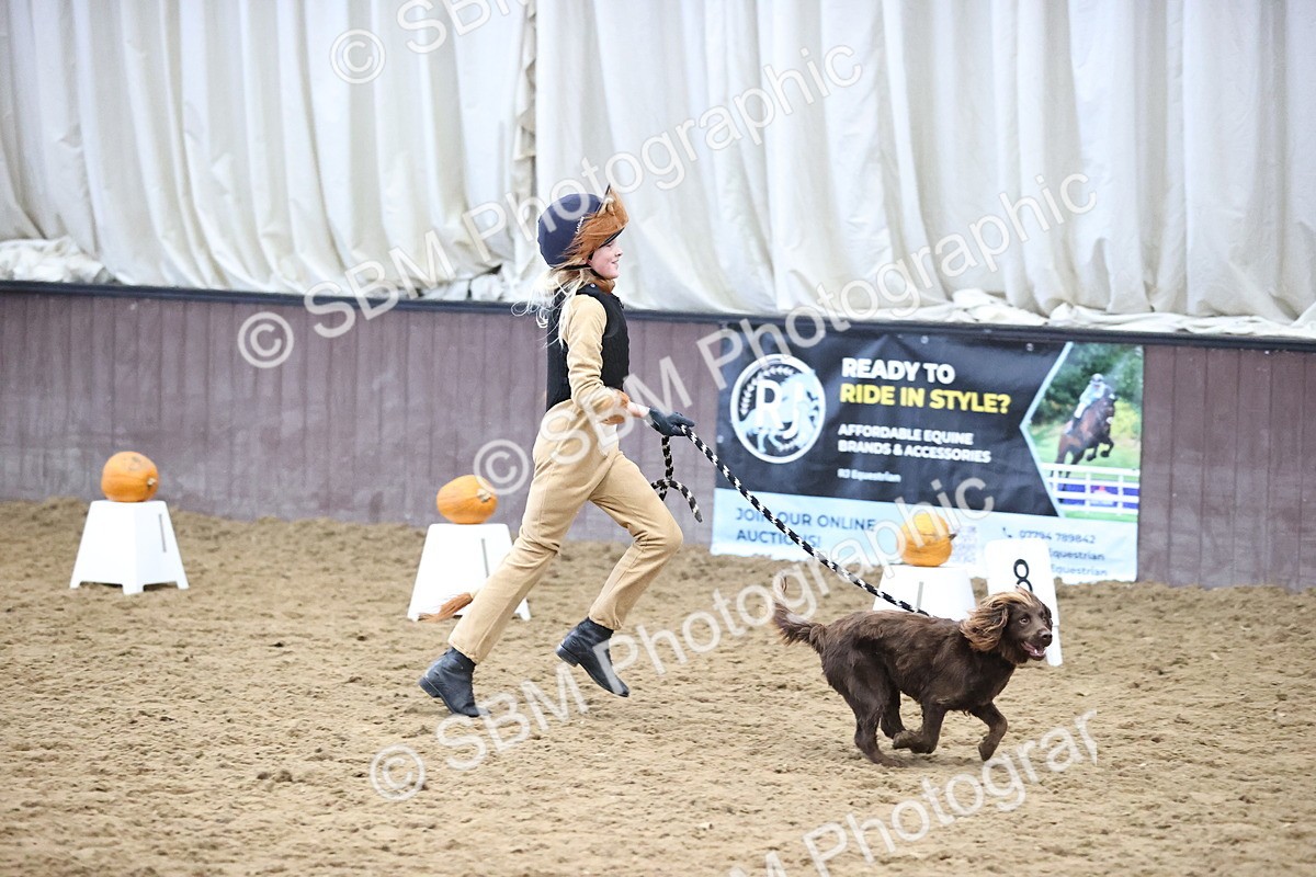 SBM_001277 - Class 3 - Horse & Hound 60cm