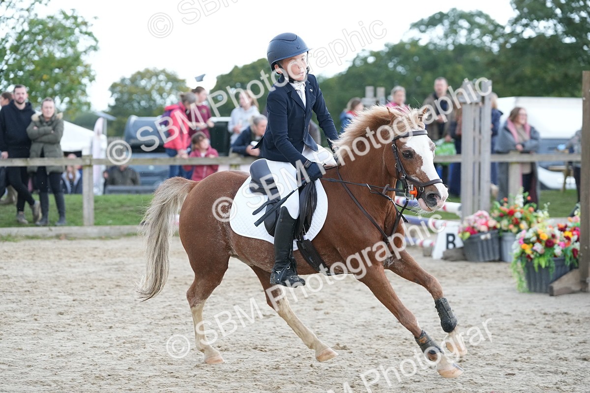SBM_39933 - J6 - Junior Pony 55cm Championship
