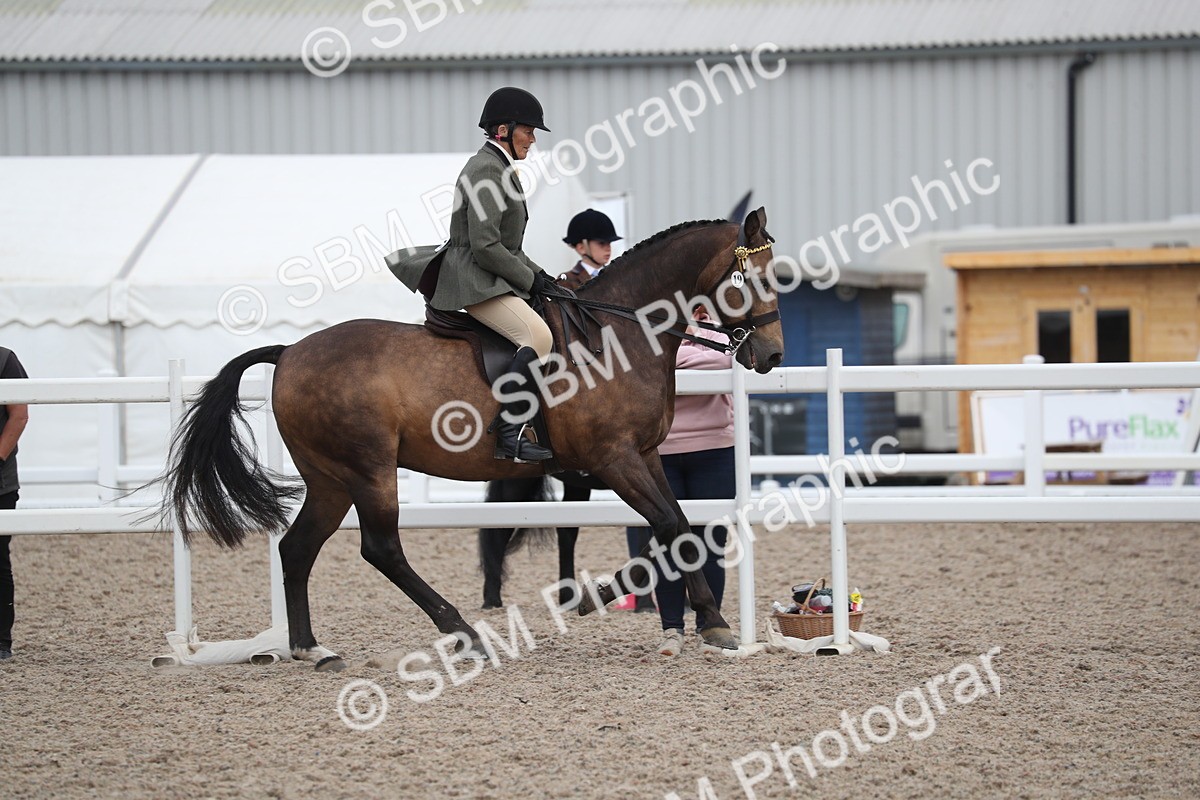 SBM_17401 - Class 315 Best Horse/Rider Combination