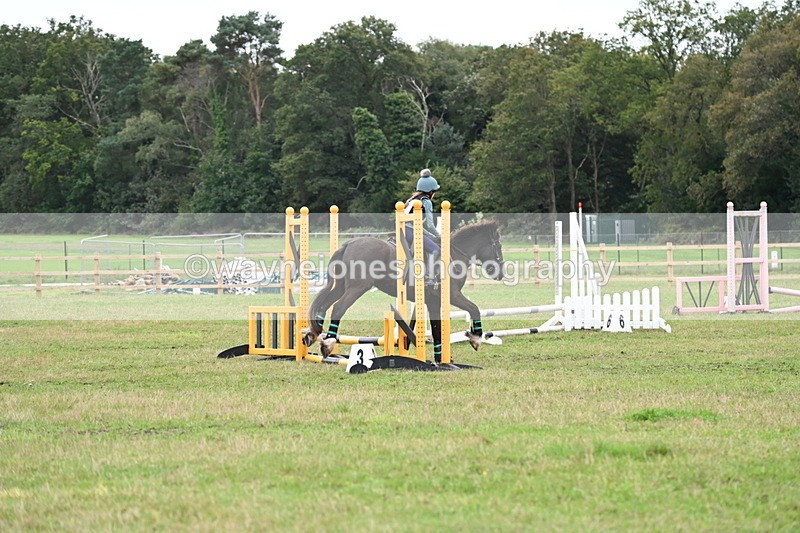 WJ6_0411 - 40cm Time 10:29 to 10:52