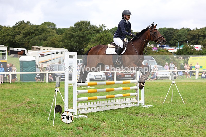 3E7A7275 - Class 5: Senior British Novice/90cm open