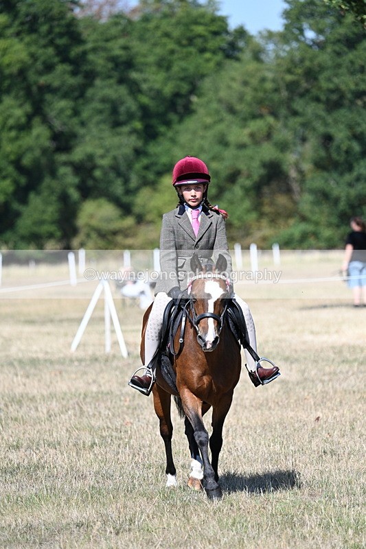 WJ7_4046 - Class 9 Mountain & Moorland Ridden