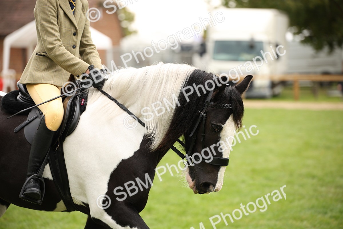 SBM_73512 - S68 - Traditional Cob Ridden
