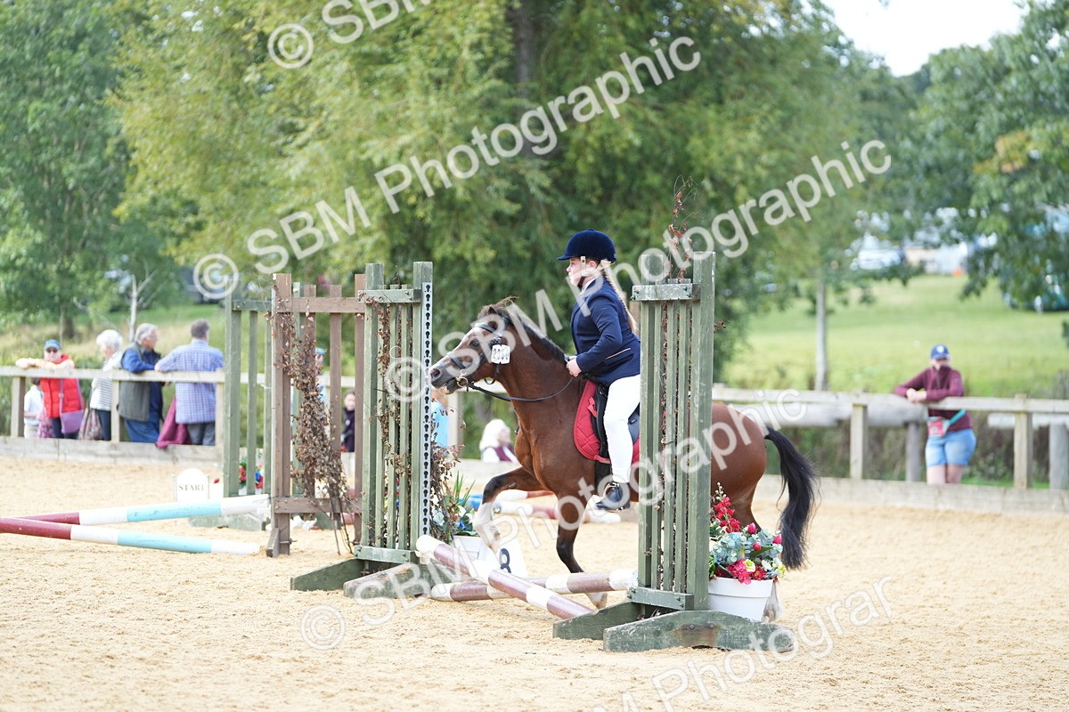 SBM_64397 - J2 - Mini Tour Junior Pony 30cm Championship