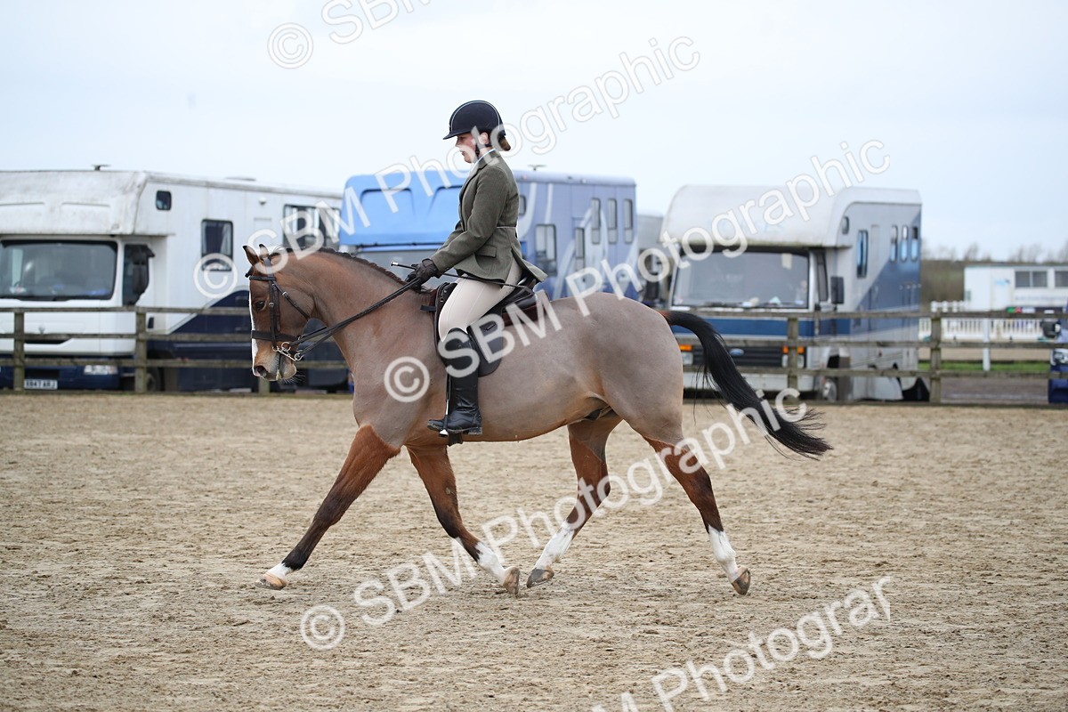SBM_004664 - Class 5-9 - NPS In Hand-Show Hunter-Intermediate Ridden Inc Ridden Championship