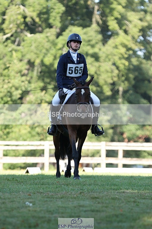 250823A-090208-25836 - Arena D