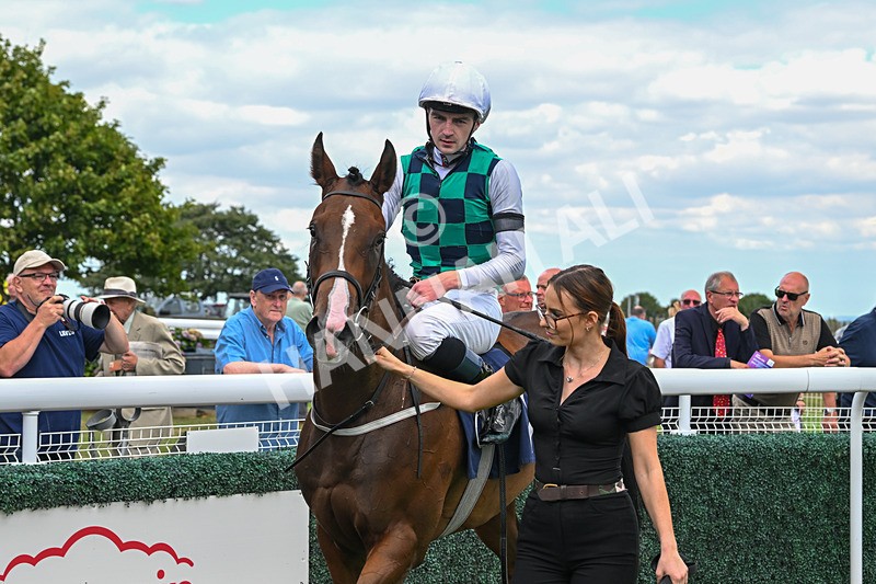 140825-Race 1-Catching The Moon-0359 - Race 1