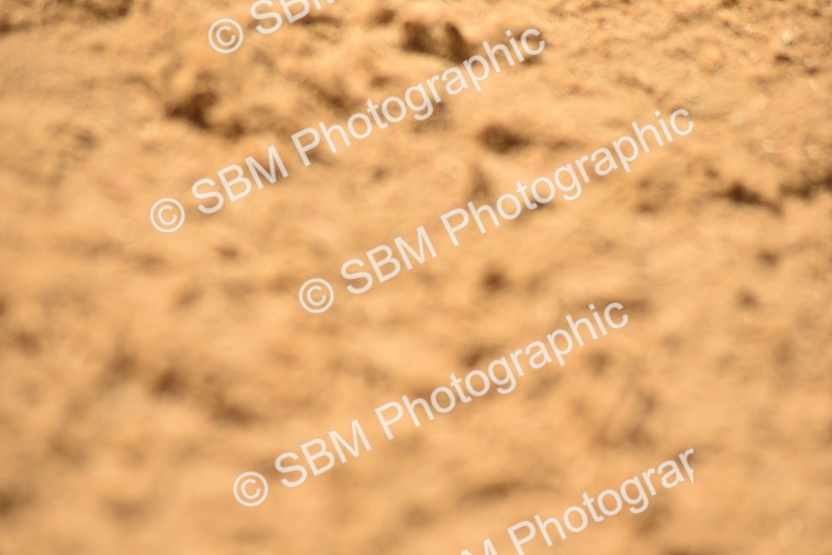 SBM_07751 - D15 - Small Tour Championship Novice 1