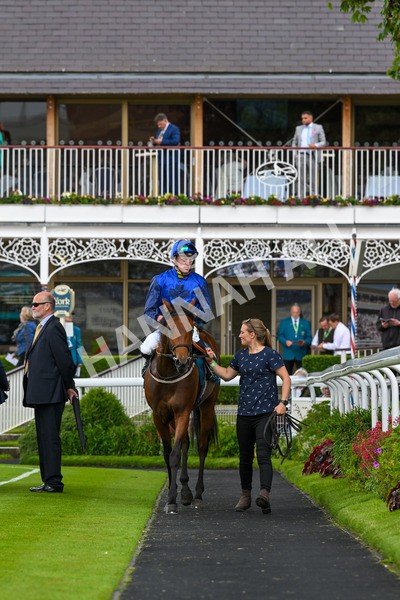 140624-Race 2-Inconspicuous-4013 - Race 2 2.25pm CGE Yorkshire Rous Selling Stakes