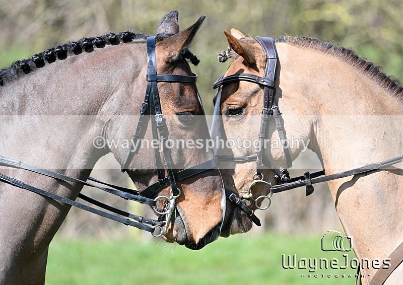 WJ7_6230 - Berks & Bucks Mayridge Farm – Englefield 16-03-25