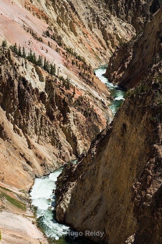 - Yellowstone