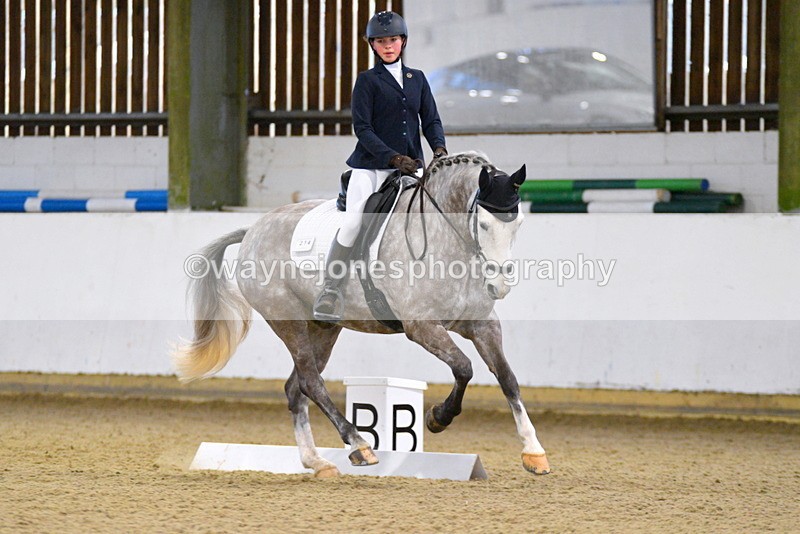 WJ5_1540 - Edited examples