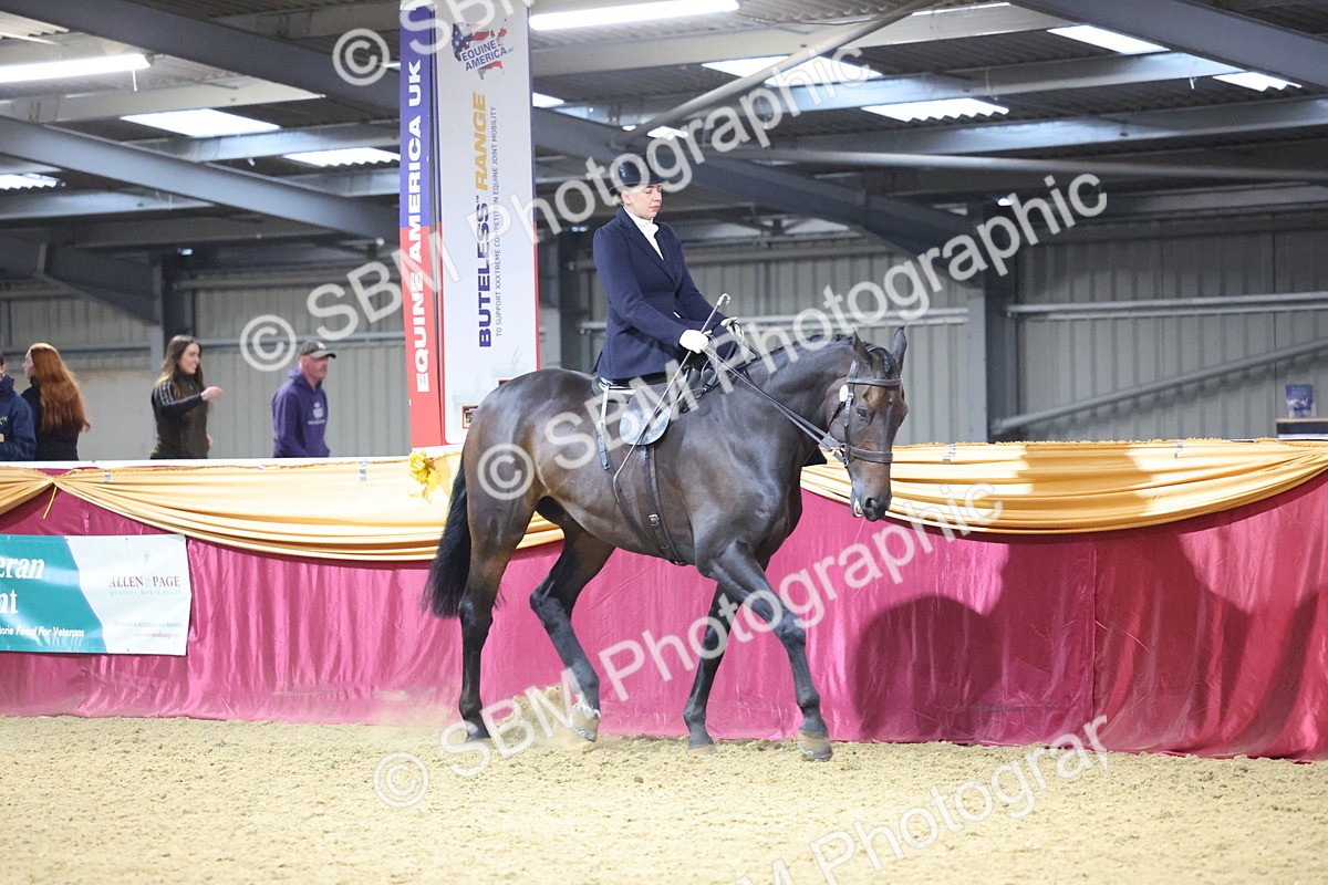SBM_19288 - Class K Equitation Champ