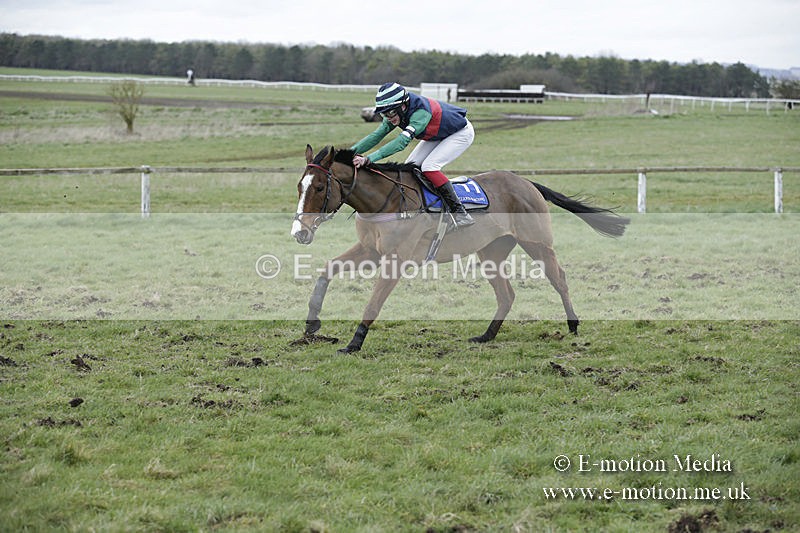PtP 150320 0935 - New Forest Point-to-Point Larkhill 15/03/20