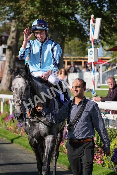 yr08102021r3-43 - Race 3 3.15pm Download The Casumo App Today Handicap