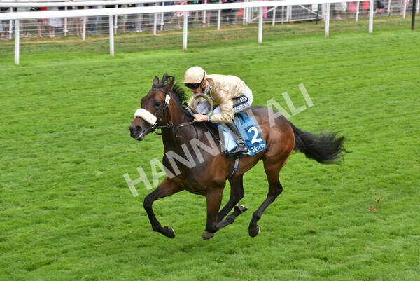 yr23072022r4-27 - Race 4 3.50pm Sky Bet In Running Racing Nursery Handicap