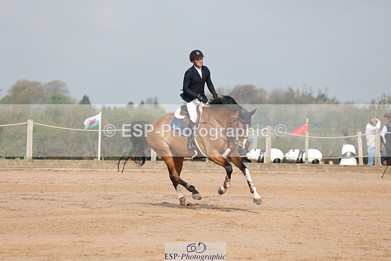 250424-103611-03123 - Cls 33 Young Horse 7yr old