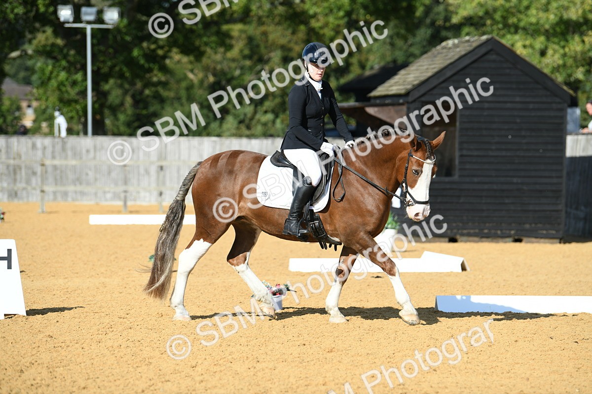 SBM_27091 - D16 - Small Tour Championship - Novice 28
