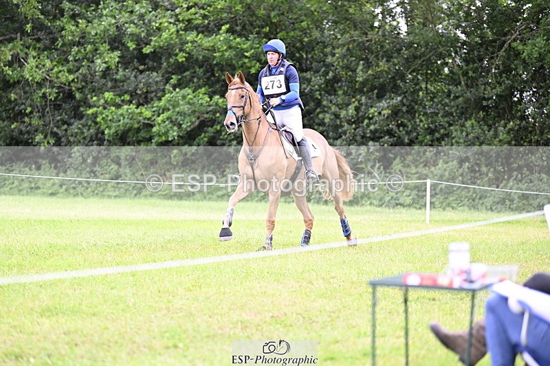 250524A-164347-14598 - C-273-Tim.Cheffings-HEARSAY.LARK.RISING