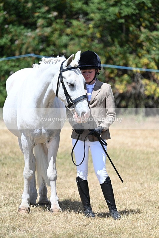 WJ7_2199 - Class 5 Most Handsome Gelding (up to 14.2hh) in hand