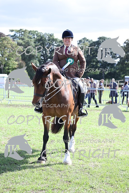 APP_3716 - Class 12 M&M ridden