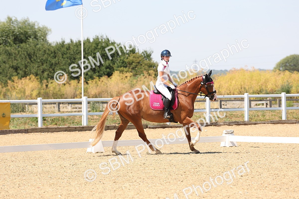 SBM_005023 - Prelim 4 - 13.34-15.39