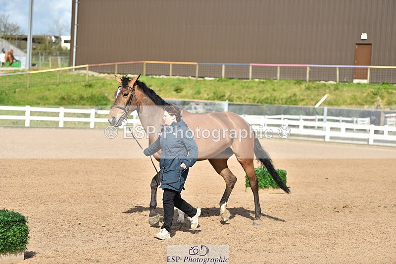 240417A-162346-01196 - 4pm to Finish