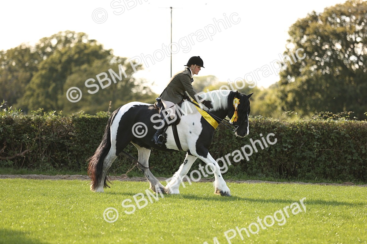 SBM_26505 - S6 - Novice & Newcomers Ridden Horse
