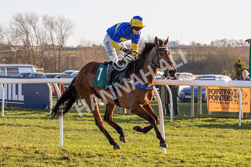 050325-Race 4-Hostile Hotelier-6963 - Race 4